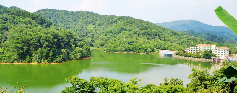 廣州牛木線(xiàn)