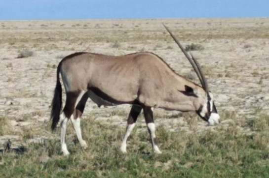 自傳式引導(dǎo)是拓展培訓(xùn)師最大的誤區(qū)