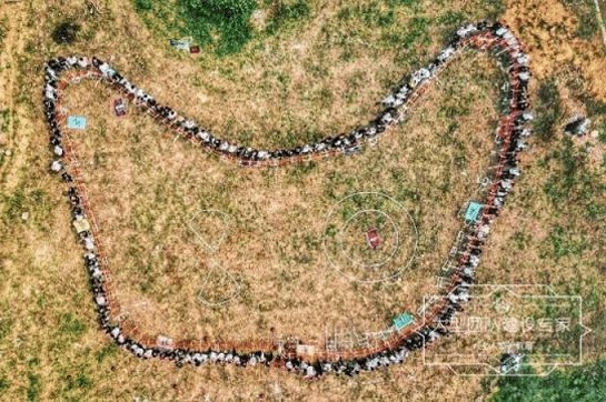 野外生存大挑戰(zhàn)，披荊斬棘，生者為王！