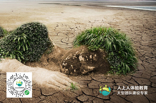 植樹(shù)節(jié)丨行動(dòng)起來(lái)，讓地球不流浪